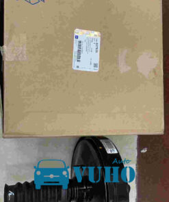 BẦU SERVO THẮNG DAEWOO LANOS