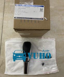 TAY NẮM CẦN SỐ FORD ECOSPORT 2014-2018