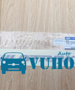 TEM WILDTRAK BƯỞNG SAU FORD RANGER