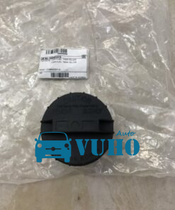 Nắp bình xăng trong Hyundai Getz, Daewoo Cielo
