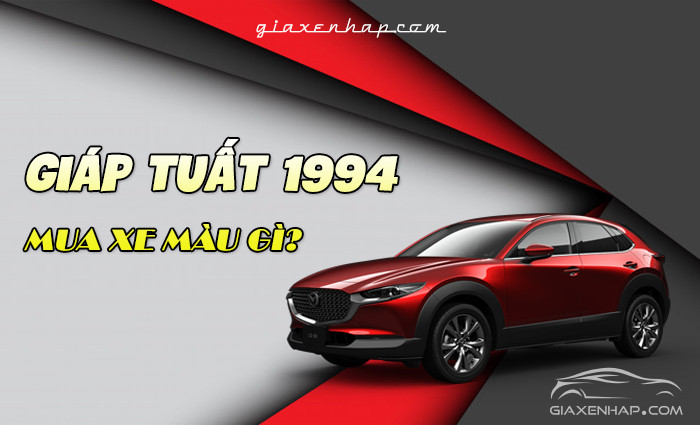 nam-nu-tuoi-giap-tuat-1994-mua-xe-o-to-hop-mau-gi Nam/Nữ tuổi Giáp Tuất 1994 mua xe ô tô hợp màu gì?