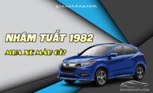 Nam/Nữ tuổi Nhâm Tuất 1982 mua xe ô tô hợp màu gì?