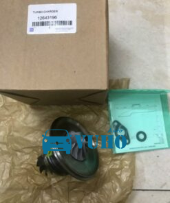 Ruột Turbo tăng áp Chevrolet Colorado | 12643196