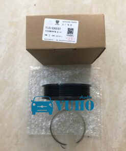 Puly lốc điều hòa xe Peugeot 3008 | 1606467480