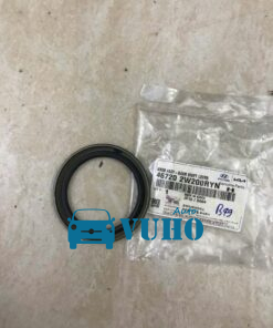 Phớt đầu trục cơ xe Hyundai Solati 2022 | QD43117T00020