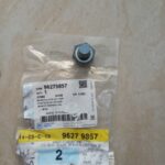 cảm biến nhiệt độ nước daewoo magnus | 96279857