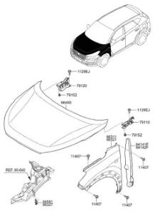 CAPO XE HYUNDAI STAREX 2016 | 664004H000 - Image 4